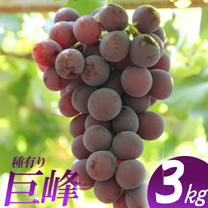 【ふるさと納税】巨峰 約3kg ／ フルーツ 果物 種あり ぶどう ブドウ 数量限定 奈良県 御所市