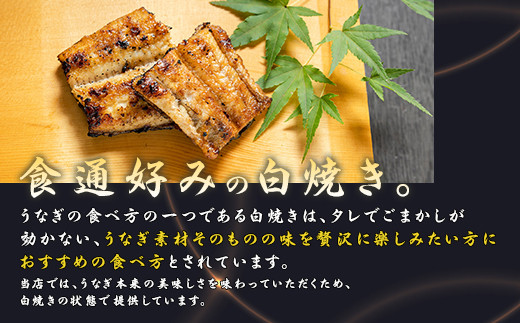 487 うなぎ 2尾入り 約220g 白焼き 蒲焼き 食べ比べ 国産 有頭うなぎ