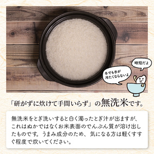【令和7年産】定期便 ≪2ヶ月連続お届け≫ 福井県のブランド米 いちほまれ 無洗米 2kg × 2回 計4kg 【 人気 品種 ブランド米 特A 】 [A-6175]