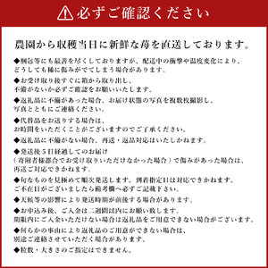 あまおう 約2280g 約285g×8パック いちごファームきらら【ふくおかエコ農産物認証】【2027年2月上旬-3月下旬発送予定】