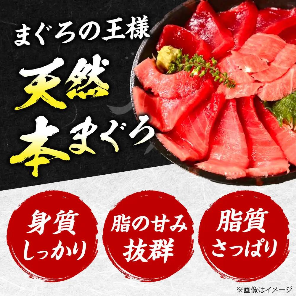 たね熟天然本まぐろ大トロ(640g)[AOCE007]まぐろ