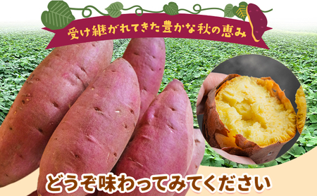 芋あかさきからいも 約5kg～6kg  わらく農園《11月中旬-11月下旬頃出荷》
