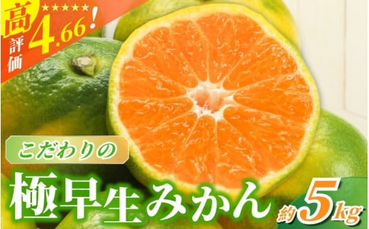 【2026年秋頃発送予約分】【農家直送】こだわりの極早生みかん 約5kg【数量限定】 有機質肥料100% サイズ混合 ※2026年9月下旬より順次発送予定（お届け日指定不可） / 早生みかん みかん ミカン 有田みかん 温州みかん 柑橘 有田 和歌山 産地直送  くだもの 果物 フルーツ 柑橘類 和歌山 すさみ町【nuk152D】