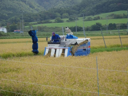 【令和8年産】北海道産特別栽培米 アポイ米（ななつぼし）25kg（5kg×5袋）【10月下旬以降発送】