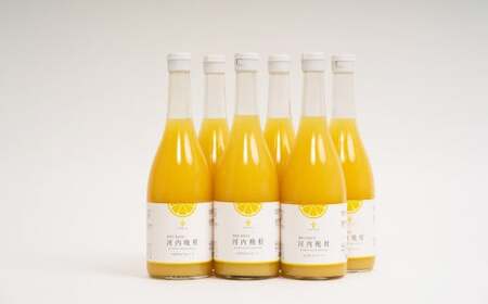 無添加 果汁100％ 河内晩柑ジュース 720ml×6本入 晩柑 柑橘 みかん 蜜柑 ミカン 飲料 ジュース 100％ 愛媛みかん 愛媛県産 【2025年12月上旬まで発送予定】【えひめの町（超）推し！（愛南町）】（577）