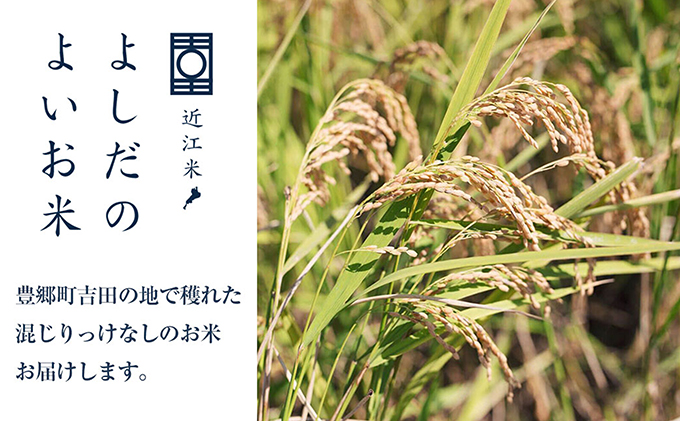 令和5年産　よしだのよいお米 近江米みずかがみ5kg×2