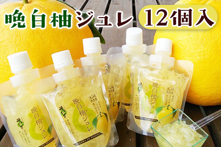 晩白柚ジュレ170g×12個 道の駅竜北 晩白柚 