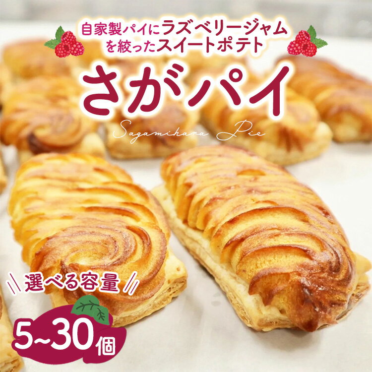 【ふるさと納税】【選べる容量】さがパイ | スイートポテト お菓子 焼菓子 スイーツ さつまいも