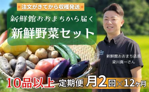 【定期便24回】月2回×12ヵ月 注文が来てから収穫発送！収穫したばかりの新鮮野菜セット 《10品以上保証》 季節のお野菜 おまかせ お楽しみ 獲れたて産地直送 旬の野菜 ベジタブル ヘルシー 健康 詰め合わせ 一関市