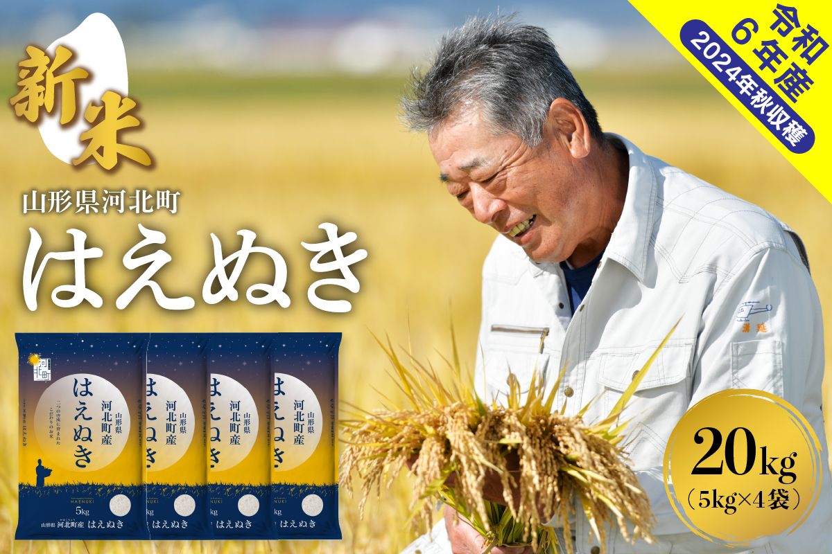 【令和6年産米】2024年11月下旬発送 はえぬき20kg（5kg×4袋） 山形県産【米COMEかほく協同組合】