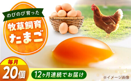【全12回定期便】天心山 たまご 20個（10個入り×2パック） 卵 たまご 高級 食品 たまごかけご飯 卵かけご飯 卵焼き 生卵 濃厚 ケーキ お菓子 づくり ランキング 上位 人気 おすすめ 定期便　広島県福山市/天心山ファーム[BABW020]
