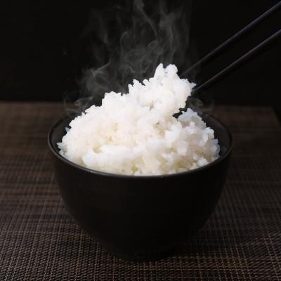 ふるさと納税 南魚沼市 南魚沼産こしひかり 300g×10袋 東京国立博物館コラボレーションパッケージ |  | 03