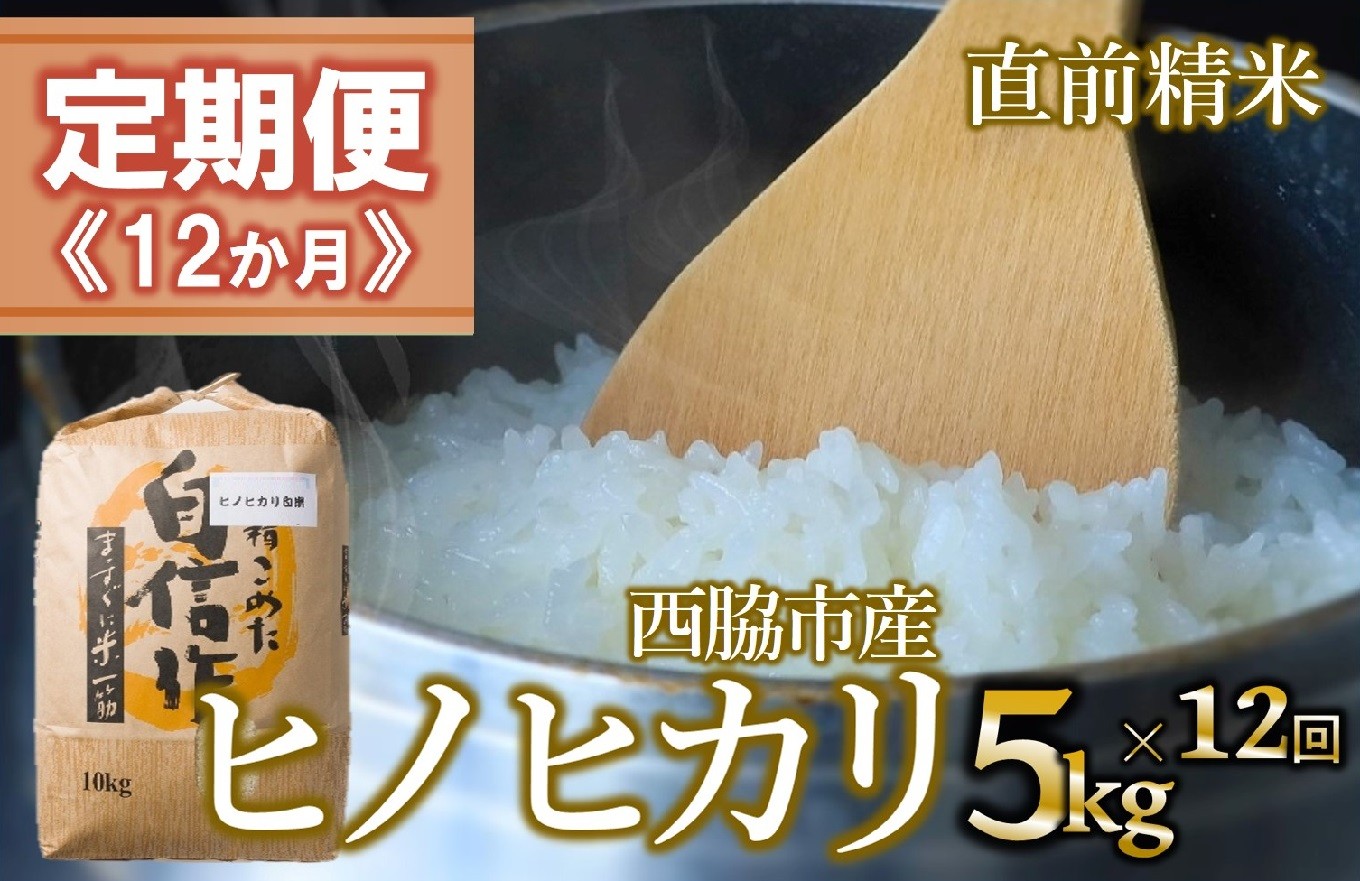 
                  【定期便 12か月 ヒノヒカリ】白米5kg（12か月連続お届け）2025年産　米 お米 米5㎏ お米5㎏ 兵庫県産 ひのひかり ヒノヒカリ 西脇市産 定期 連続 12回 12か月 1年 2025年産 精米 便利 らくちん ラク
                
