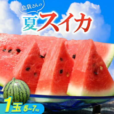 【ふるさと納税】【先行予約・2026年8月中旬から順次発送】島袋さんの夏スイカ大玉 1玉(5.0～7.0kg)_ すいか スイカ 西瓜 大玉 初夏スイカ フルーツ 甘い 国頭スイカ 島袋さん 沖縄 国頭村産 くにがみそん 国頭マージ やんばる 【配送不可地域：離島】【1628646】