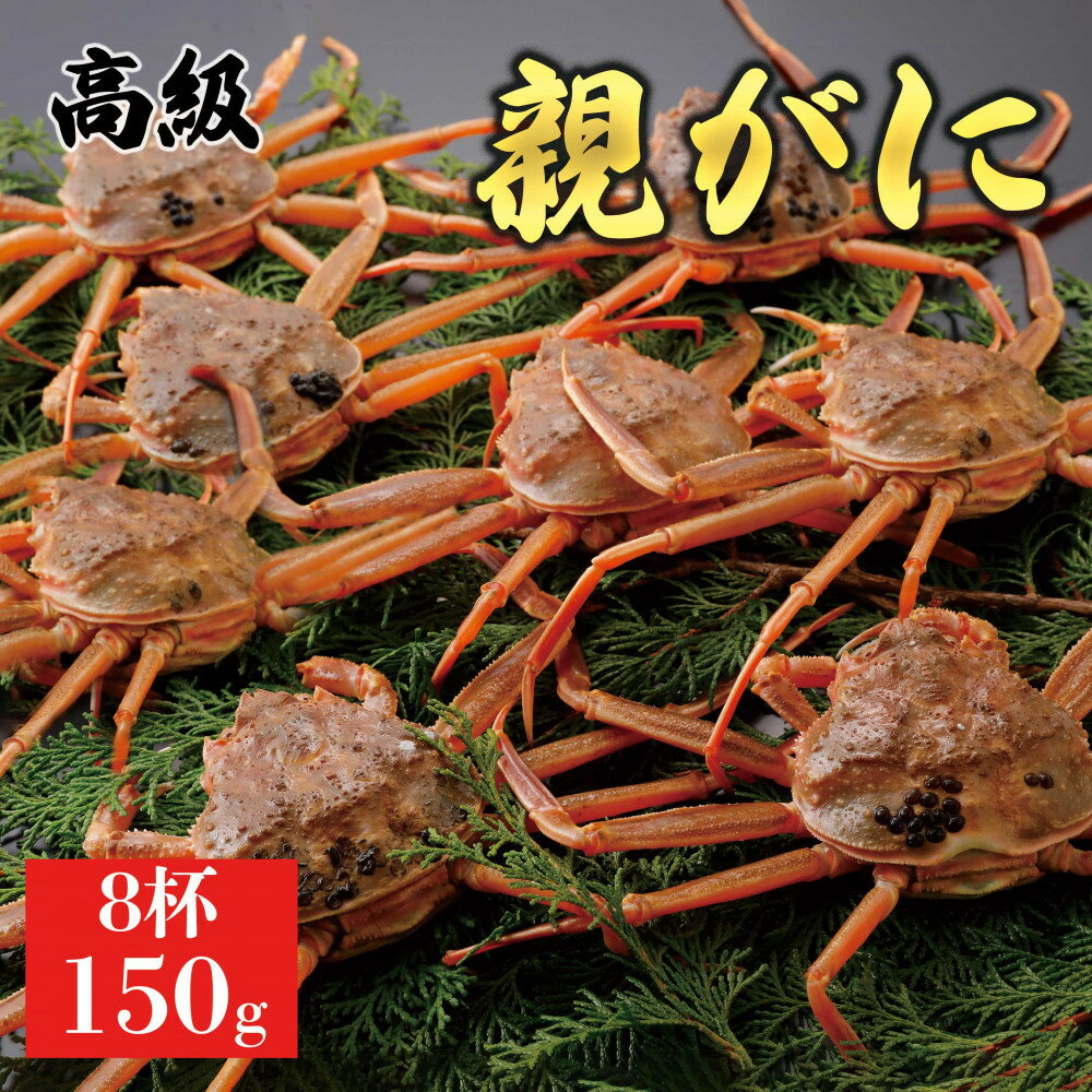 【ふるさと納税】【2025年12月発送】鳥取県産 特撰 親がに 姿【セコガニ】（なま）150g　8杯