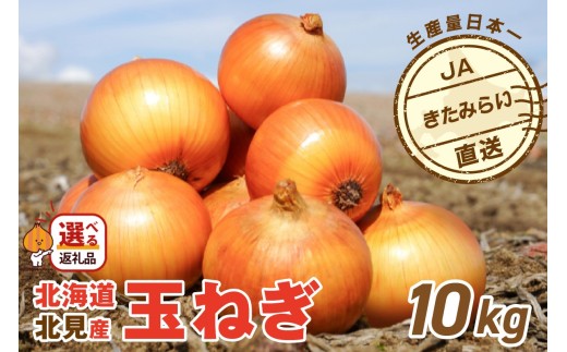 【2027年2月中お届け】JAきたみらい産 玉ねぎ Lサイズ以上 10kg ( タマネギ たまねぎ 野菜 )【210-0003-2026】