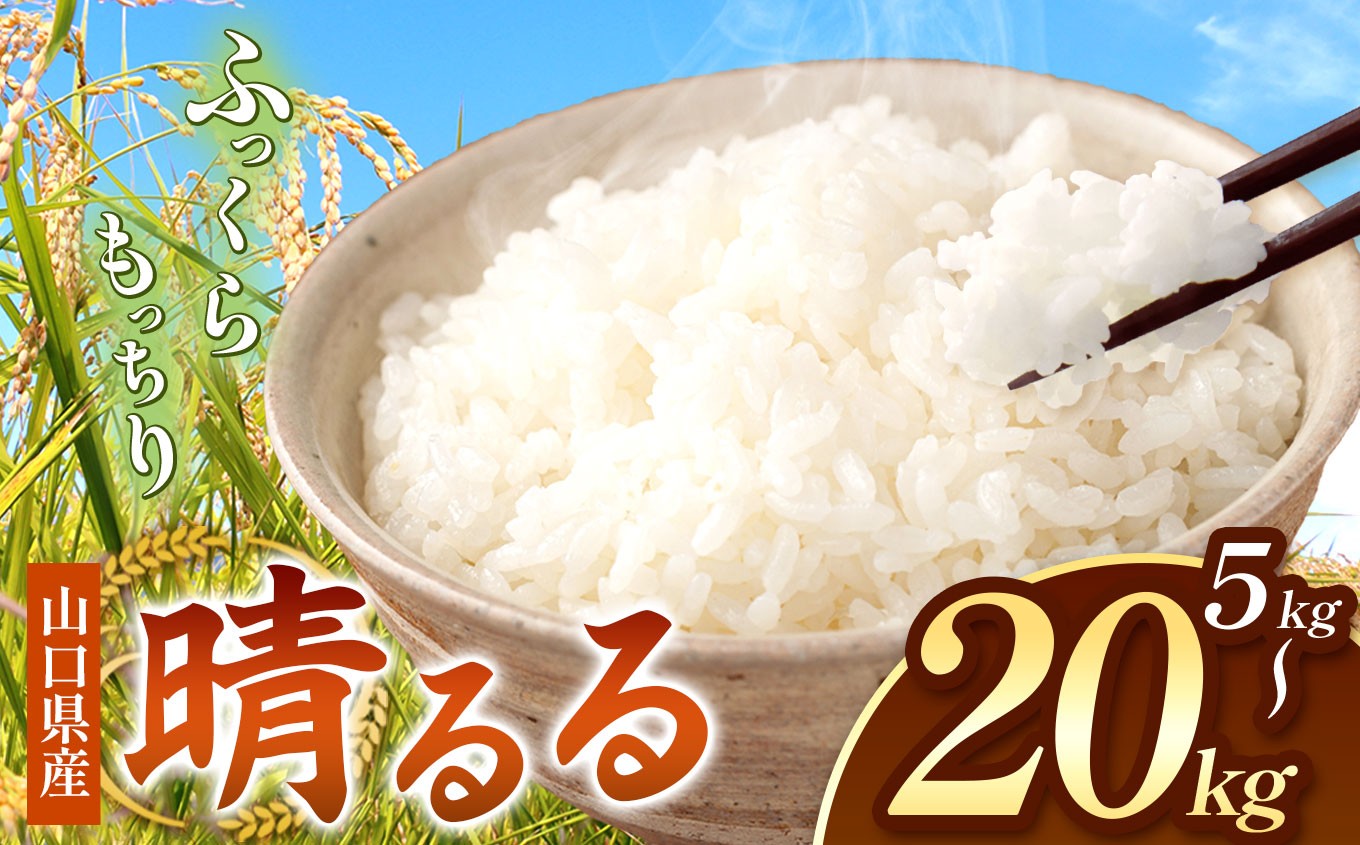 
                  令和8年度産 新米 晴るる 白米 5 ～ 20 kg 村上農園 先行予約 ＜ 2026年9月下旬より11月末まで順次発送 ＞ ｜ 選べる 容量 米 精米 新米 白米 米 雑穀 お米 コメ 単一米 晴るる はるる  山口 美祢 秋吉台 5kg 10kg 20kg
                