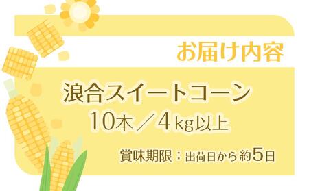 【先行予約】浪合スイートコーン | 野菜 とうもろこし トウモロコシ コーン 信州 長野