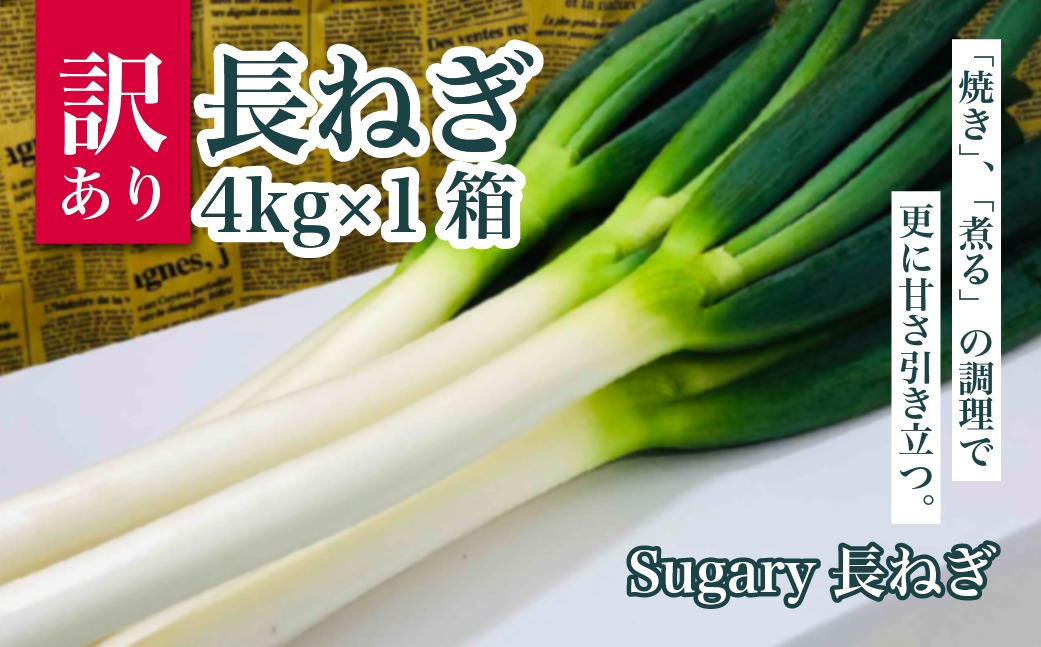 Sugary長ねぎ(訳あり品)4kg×1箱 SMY006
