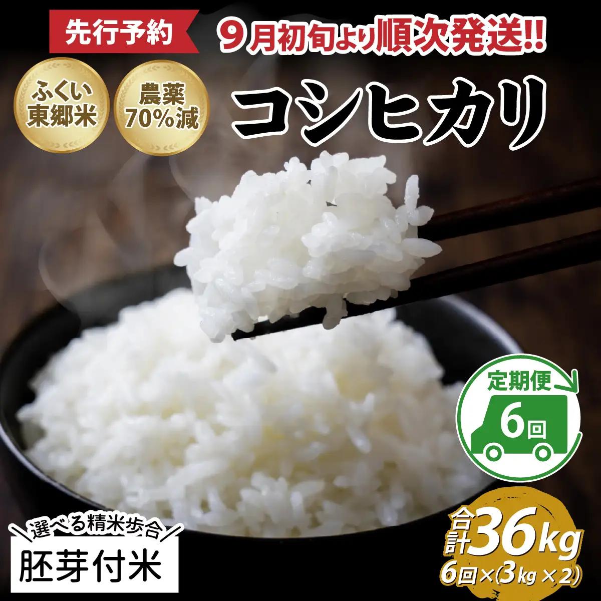 【先行予約】【胚芽付米】【定期便6ヶ月連続】令和8年産 新米 ふくい東郷米 特別栽培米 農薬70％減 コシヒカリ 6kg(3kg×2袋)×6ヶ月 合計36kg[J-020023_03]