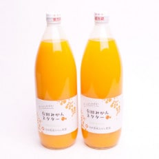 とろり　みかんネクター1000ml×2本　無添加100%ストレートジュース　【有田みかんジュース】