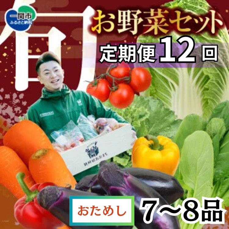 【定期便/12か月】注文が来てから収穫発送！収穫したばかりの新鮮野菜セット お試しコース 《7～8品》