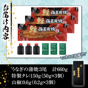 【特大】鹿児島県鹿屋市　元祖　備長炭手焼　うなぎ蒲焼　3尾(660ｇ) 1745