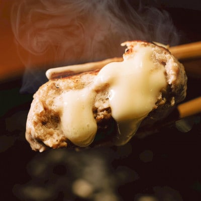 【毎月定期便】チーズ in ハンバーグ(生)12個(玉ねぎソース150g) 2セット全6回【配送不可地域：離島】【4080198】