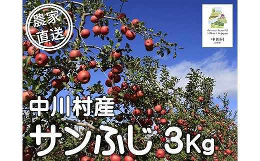 担当者おすすめ「味覚の里なかがわ」の旬のくだもの（サンふじ３Kg箱）12月上旬～発送予定