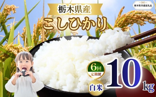 
                  【定期便6回】栃木県産 こしひかり 白米 10kg 2026年 先行予約 | 栃木県 矢板市
                