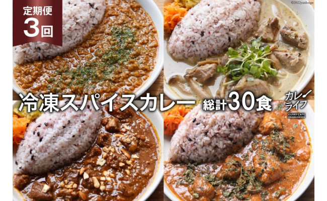 
【3回 定期便 】冷凍 スパイスカレー 4種10食×3回 総計30食 [ カレー キーマ グリーン チキン ポーク 詰め合わせ 食べ比べ ] / カレーライフ / 長崎県 雲仙市 [item0895]
