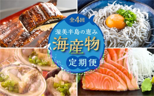 渥美半島の恵み 海産物 定期便 4回 ( うなぎ / しらす / サーモン / 大アサリ ) 鰻 蒲焼 刺身 海鮮 丼 人気  サーモン ご当地 あさり 大あさり 蒲焼き 蒲焼 釜揚げ 頒布会