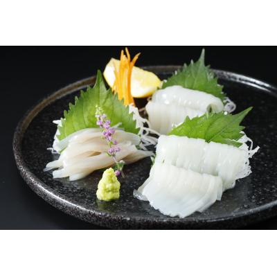 ふるさと納税 むつ市 青森県産スルメイカ刺身240g(120g×2パック) |  | 01