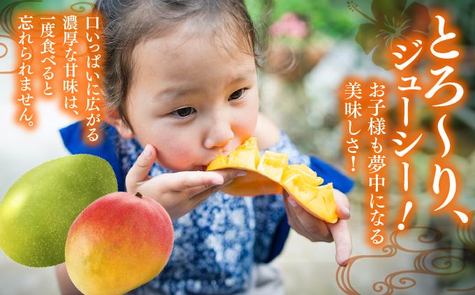 【先行予約】＜8月発送＞アップルマンゴー1,5kg　化粧箱 &＜9月発送＞キーツマンゴー2kg　化粧箱