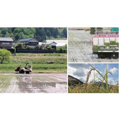 ふるさと納税 与謝野町 【先行受付】令和8年新米　数量限定　京都与謝野町産コシヒカリ「京の豆っこ米」玄米10kg×3袋 |  | 02