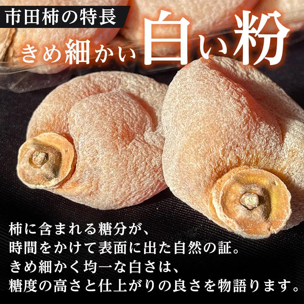 【長野県産】南信州に伝わる伝統の味「市田柿」170g×3袋 ＜2027年1月中旬から発送＞