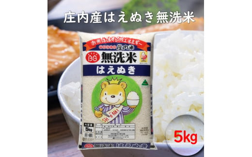 はえぬき　無洗米　5kg