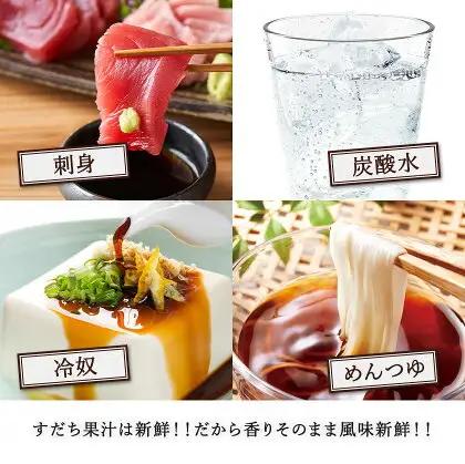 爽快！ 100% すだち 果汁 2000ml JA徳島市農産工場 すだち