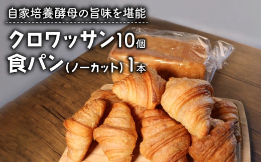 【酵母】クロワッサン10個 ＋ 食パン1本 セット ノーカット ( パン 惣菜パン 冷凍パン 天然酵母 冷凍 詰め合わせ 小麦 朝食 朝ごはん お取り寄せ 食べ比べ 京都 国産 )
