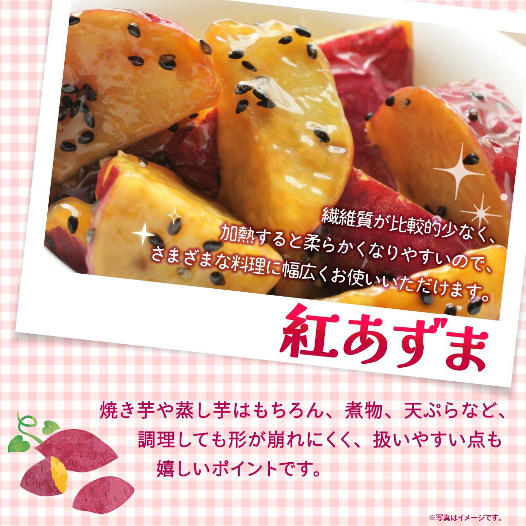 紅あずま 約 2.5kg （3回 定期便 ）（茨城県共通返礼品 [さつ