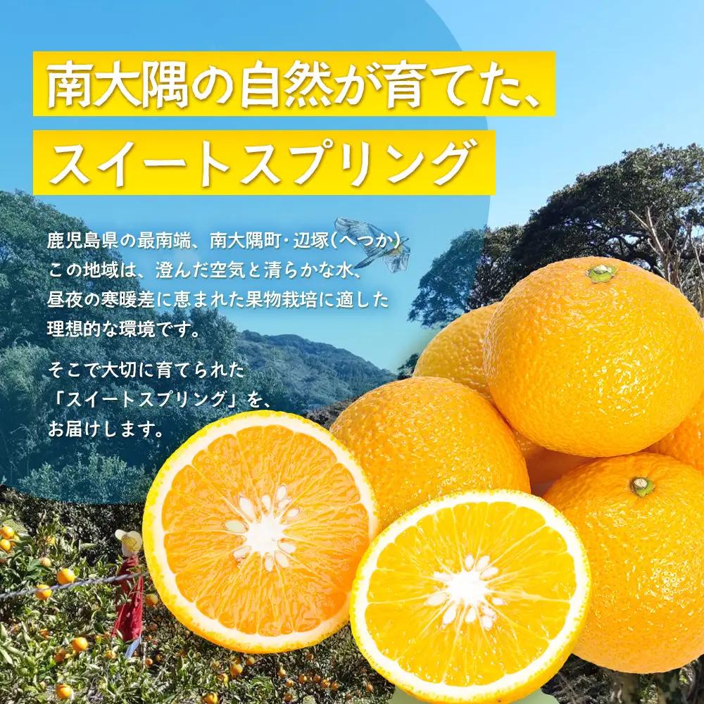 【訳あり】≪先行予約・数量限定≫鹿児島県南大隅産スイートスプリング 約5kg ID-12 ｜訳あり 訳アリ スイートスプリング すいーとすぷりんぐ 柑橘 カンキツ 柑橘類 詰め合わせ 産地直送 おすす