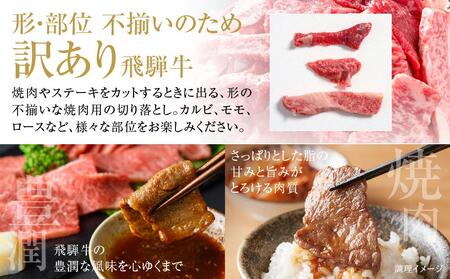 訳あり 飛騨牛 焼肉 切り落とし 600g（150g×4パック）切り落とし MZ014