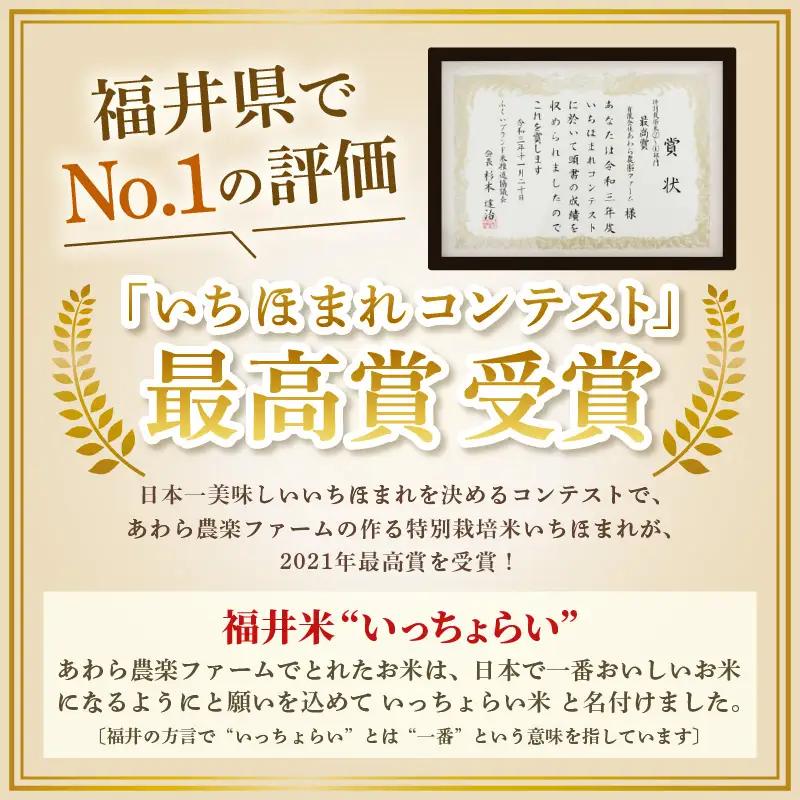 【先行予約】【令和8年産・新米】【一等米】 ＜定期便12回＞ ハナエチゼン 精米 5kg × 12回（60kg）《発送直前精米！》 ／ 福井県産 ブランド米 ご飯 白米 お米 コメ 新鮮 大賞 受賞 