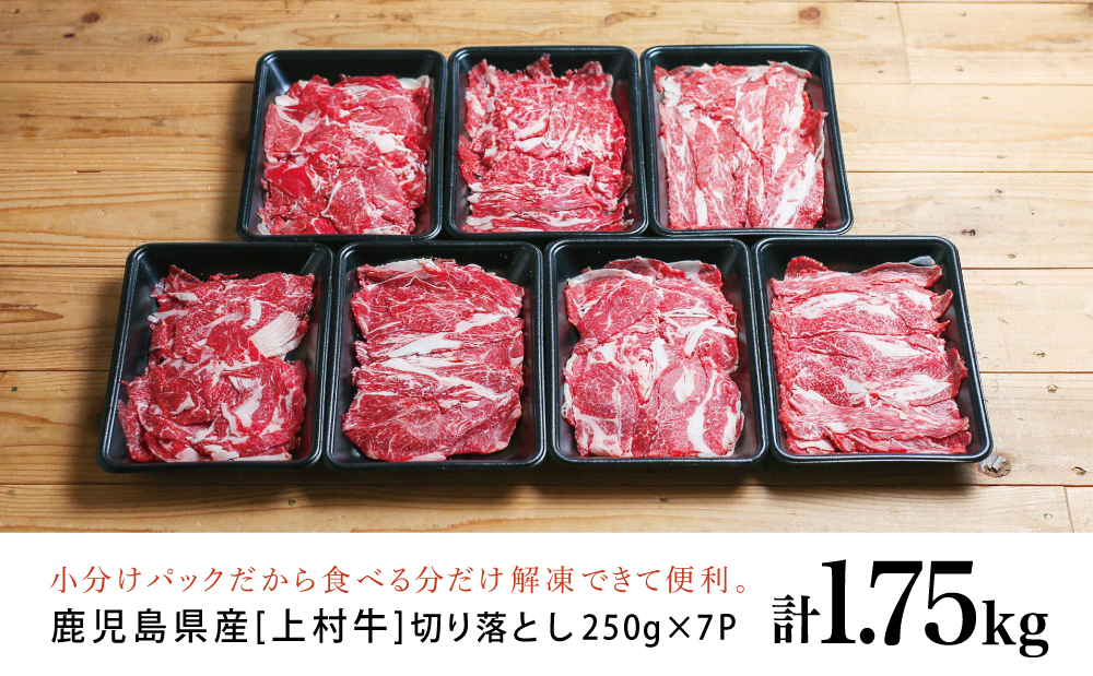 【自慢の自社ブランド牛】鹿児島県産 上村牛切り落とし 1.75kg（250g×7P） 切落とし 牛丼 肉じゃが お肉 小分け 冷凍 カミチク 南さつま市