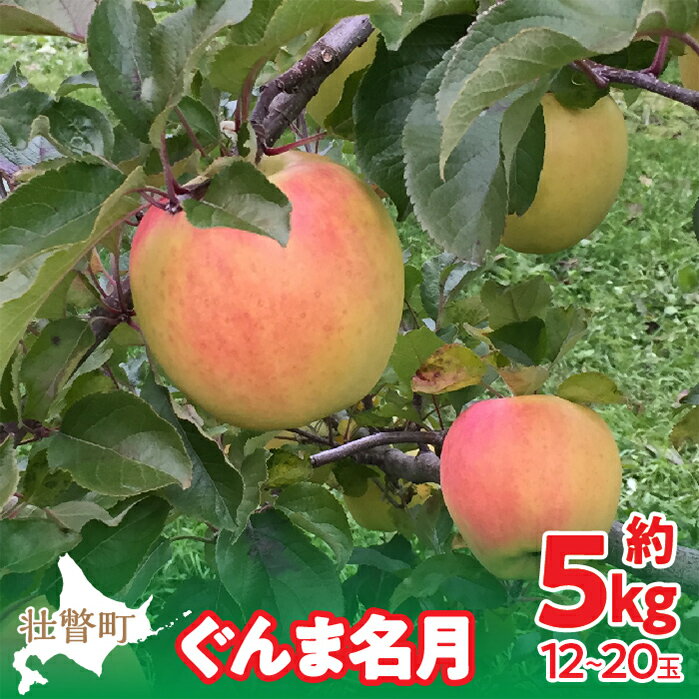 【ふるさと納税】【先行予約】北海道壮瞥町産りんご「ぐんま名月」約5kg(12～20玉)《2026年11月中旬よりお届け》 【 りんご リンゴ 林檎 ぐんま名月 蜜入り 5kg ジュース 果物 くだもの フルーツ 送料無料 】SBTF013