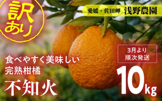 
訳あり 不知火 計10kg【2024年3月上旬頃～順次発送予定】｜ 愛媛県産 伊方町特産品 佐田岬 浅野農園 完熟 春柑橘 不知火 糖度ビタミンたっぷり
※離島への配送不可
※着日指定不可
