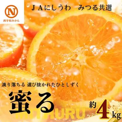 【先行受付】JAにしうわの季節の柑橘(みつる共選「蜜る」約4kg)【D08-48】 YWTV019