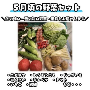 種子島 発！旬の 野菜 と 果物 と 鶏卵 セット　NFN194 【350pt】 //  野菜セット 野菜 旬の野菜 野菜セット 野菜 旬の野菜 野菜セット 野菜 旬の野菜 野菜セット 野菜 旬の野菜