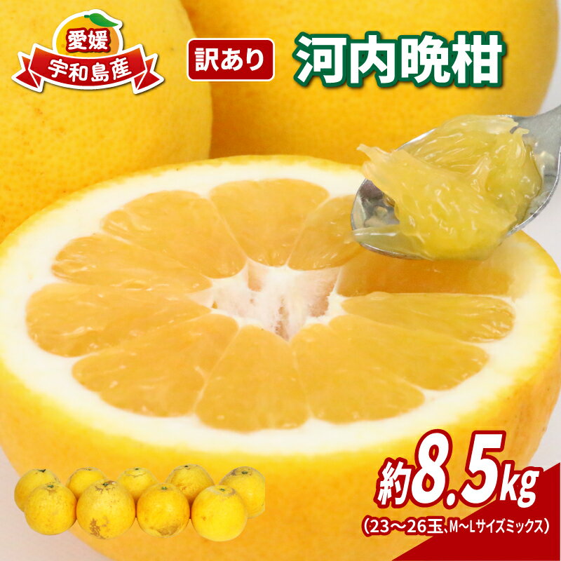 【ふるさと納税】 訳あり 河内晩柑 8.5kg 23～26玉 サイズ ミックス 不揃い 玉津みかん ニュービジネスユニット 晩柑 和製 グレープフルーツ 果物 フルーツ 柑橘 みかん 蜜柑 愛媛みかん 産地直送 農家直送 産地直送 数量限定 国産 愛媛 宇和島 B012-058010