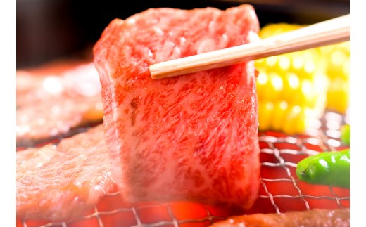 【2027年1月より順次発送】【和牛セレブ】常陸牛 焼肉 肩ロース 200g×4P 国産牛 黒毛和牛 和牛 肉 牛肉 ステーキ 小分け お取り寄せ 茨城県 水戸市（OM-13）